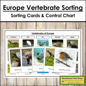 Cartes de tri des vertébrés d'Europe et carte de contrôle - zoologie Montessori - cartes Montessori imprimables - téléchargement numérique