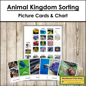 Cartes de tri Animal Kingdom & tableau de contrôle - zoologie Montessori - cartes Montessori imprimables - téléchargement numérique