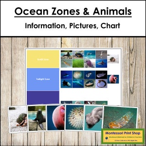 Zonas Oceânicas e os Animais que Lá Vivem Cartões de Classificação e Gráfico de Controle - Zoologia - Cartões Montessori para Imprimir - Download Digital