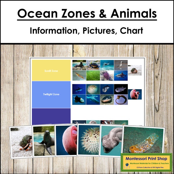 Ocean Zones And The Animals That Live There Sorting Cards & Control Chart - Zoology - Printable Montessori Cards - Digital Download