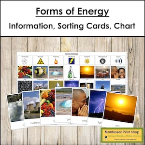 Forms of Energy Sorting Cards & Charts - Montessori Science Activity (Digital Download)