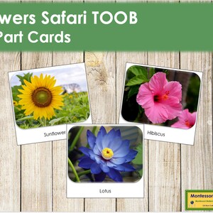 Flowers Safari TOOB Cards Printable Montessori Cards - Etsy