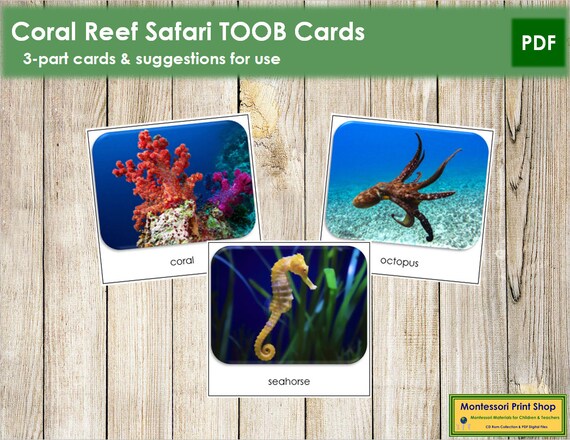 Coral Reef Safari TOOB Cards Printable Montessori Cards - Etsy