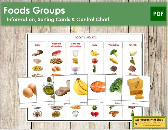 food groups sorting cards control charts printable etsy
