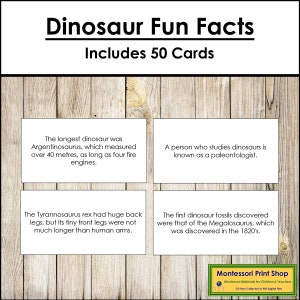 Curiosità sui dinosauri - Scienza e zoologia Montessori - Schede Montessori stampabili - Download digitale