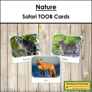 Nature Safari TOOB Cards - Printable Montessori Cards - Digital Download