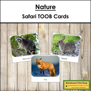 Natuur Safari TOOB-kaarten - afdrukbare Montessori-kaarten - digitale download