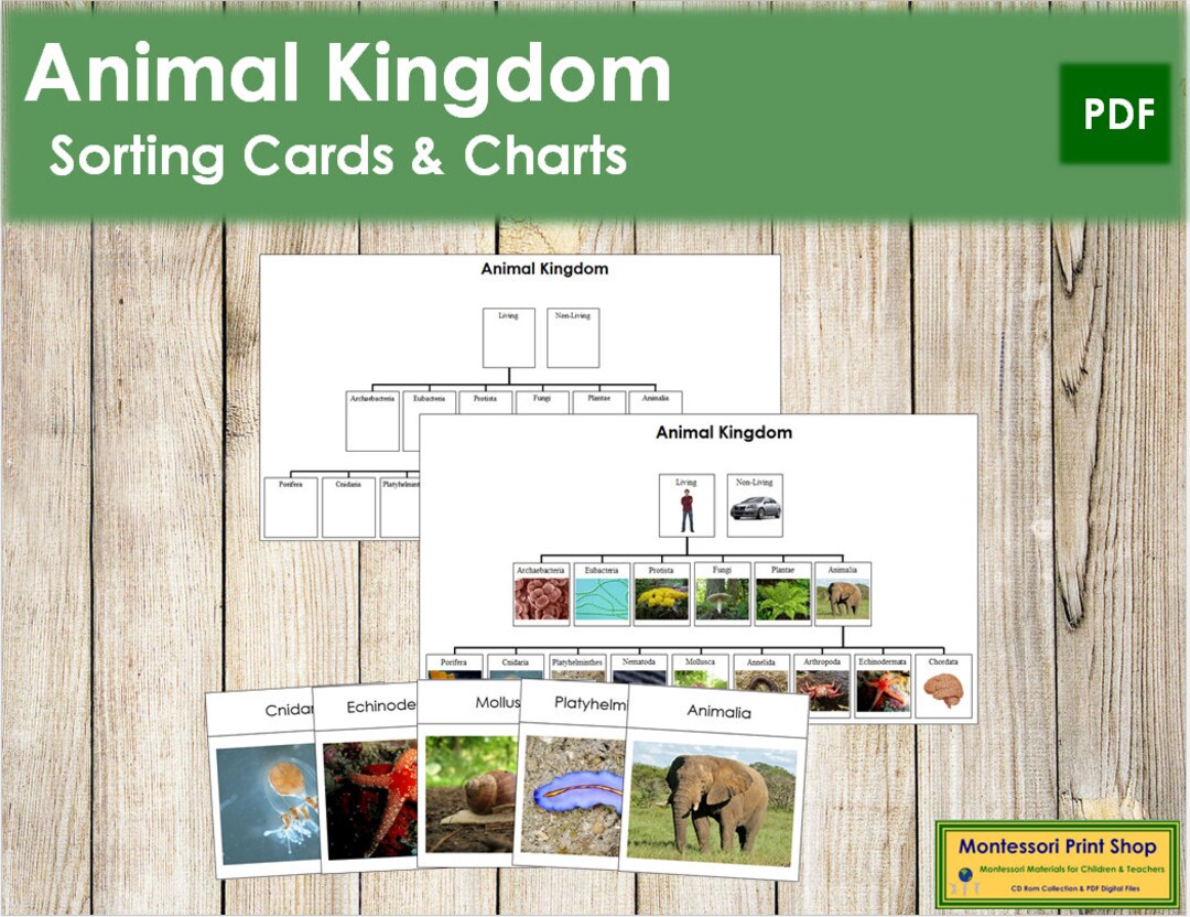 Animal Kingdom Charts & Cards Montessori Zoology Printable - Etsy Australia Animal Kingdom Charts & Cards Montessori Zoology Printable - Etsy Australia