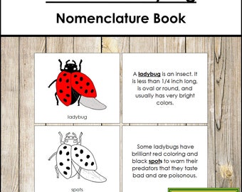 Parties d'un livre de nomenclature de coccinelle - Zoologie Montessori - Matériaux Montessori imprimables - Téléchargement numérique