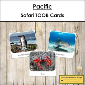 Carte TOOB Pacific Safari - Carte Montessori stampabili - Download digitale