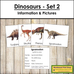 Jeu de 2 cartes dinosaure - science Montessori et zoologie - cartes Montessori imprimables - téléchargement numérique