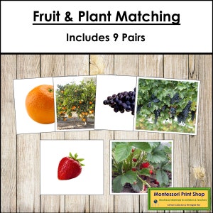 Fruits et plantes assorties - Cartes d'âge préscolaire - Cartes Montessori imprimables - Téléchargement numérique