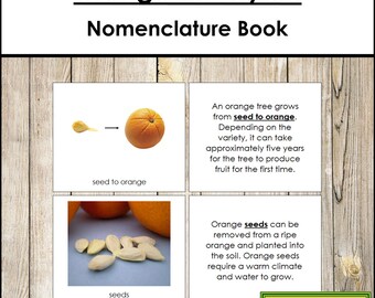 The Orange Life Cycle Book - Montessori Nomenclature - Printable Montessori Materials - Digital Download