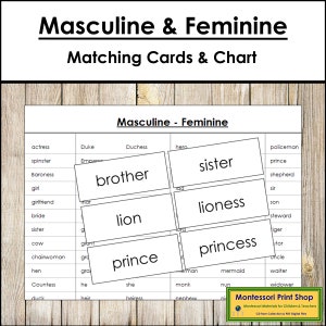 Cartes assorties masculins et féminins - grammaire - matériel Montessori imprimable - téléchargement numérique