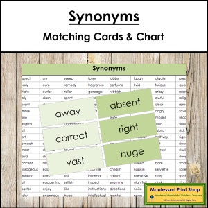 Sinónimos (codificados por colores) - Gramática Montessori - Materiales Montessori imprimibles - Descarga digital