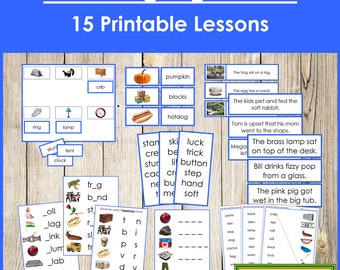 Montessori Blue Phonetic Language Series Bundle (PHOTOS) - Primary Phonics - Printable Montessori Cards - Digital Download