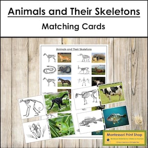 Animals and Their Skeletons Matching Cards - Montessori Zoology Activity (Digital Download)