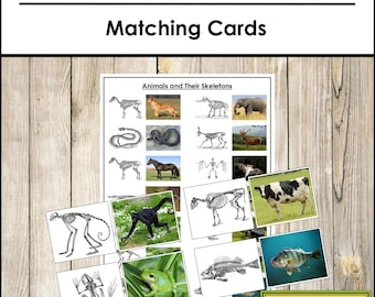 Animals and Their Skeletons Matching Cards - Montessori Zoology Activity (Digital Download)