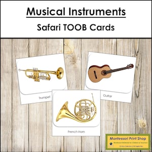 Musikinstrumente Safari TOOB Karten - druckbare Montessori Karten - Digitaler Download