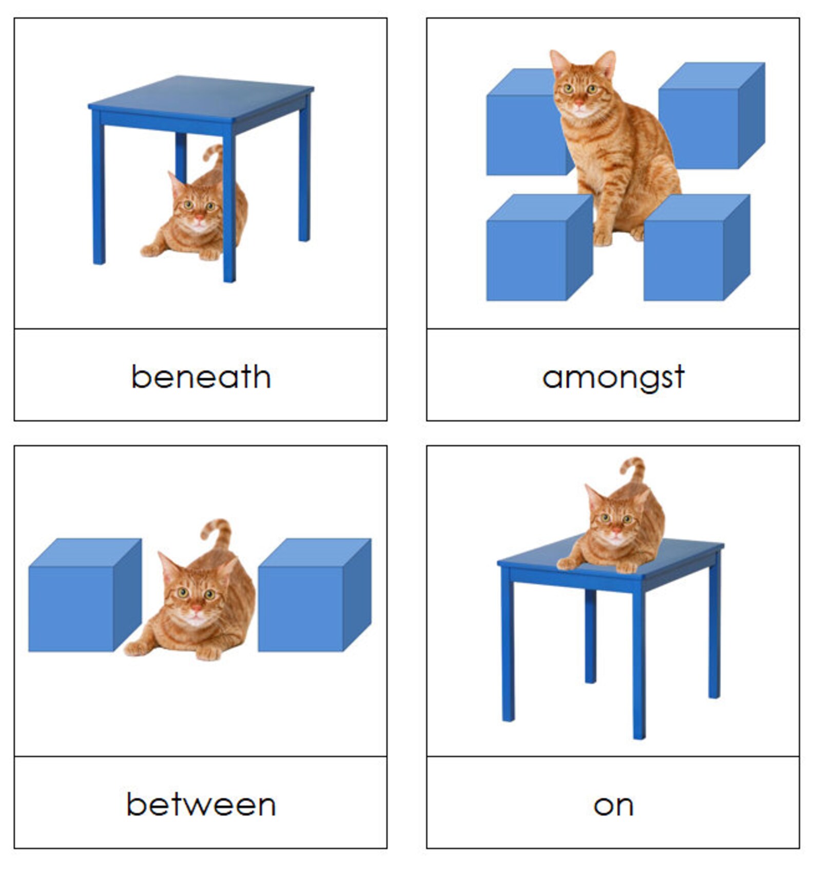Cartes d'images de préposition chat Langue et grammaire Montessori ...