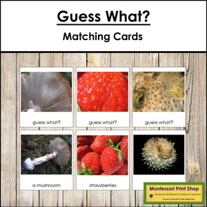 ¿Adivina qué? Set 2 - Preescolar - Tarjetas Montessori imprimibles - Descarga digital
