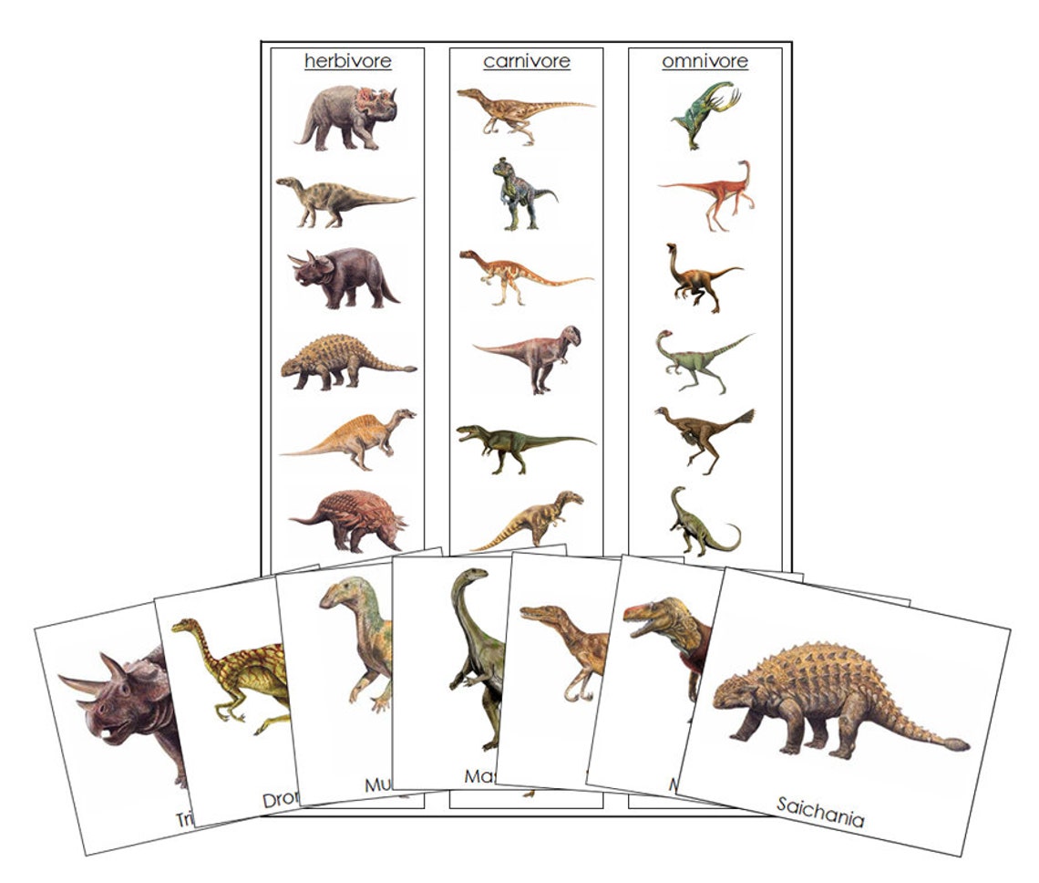 Dinosaur Sorting herbivores Carnivores Omnivores Zoology Etsy Australia
