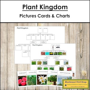 Grafieken en kaarten plantenrijk - Montessoriwetenschap - Afdrukbare Montessorikaarten - Digitale download