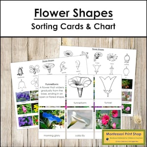 Soorten bloemvormen Sorteerkaarten en controlekaart - Montessoriwetenschap - Afdrukbare Montessorikaarten - Digitale download