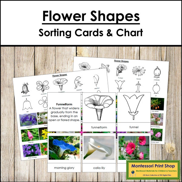 Conifer Vs Deciduous Trees: Printable Classroom Poster for Tree ...