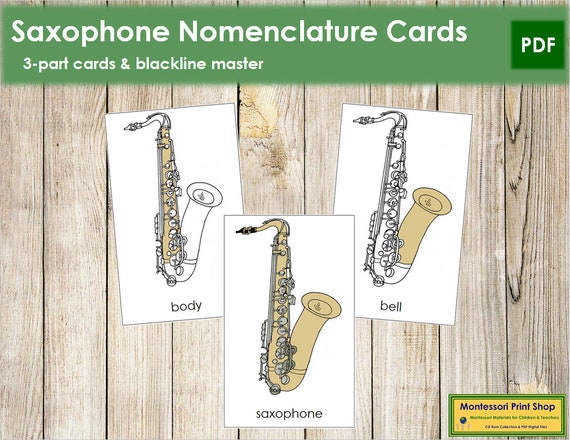 Parts of a Saxophone Nomenclature 3-part Cards Printable | Etsy