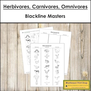 Herbívoros, carnívoros y omnívoros - Zoología - Tarjetas Montessori imprimibles - Descarga digital