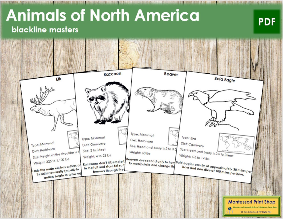 Animals of North America Facts & Picture Cards blackline | Etsy