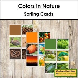 Tarjetas de clasificación de colores en la naturaleza - Sensorial Montessori - Tarjetas Montessori imprimibles - Descarga digital