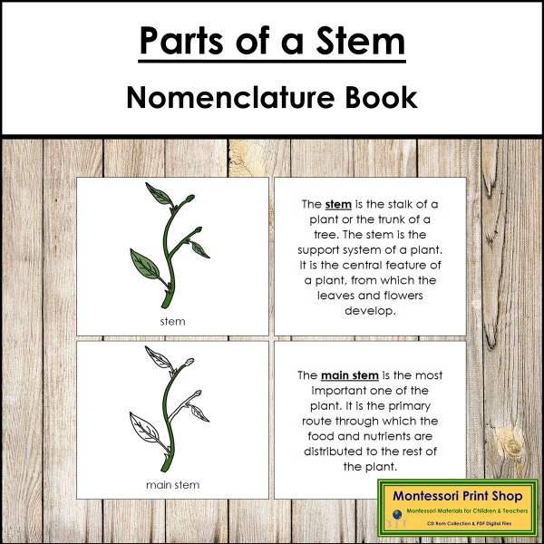 Parts of a Stem Nomenclature Book - Montessori Botany - Printable Montessori Materials - Digital Download