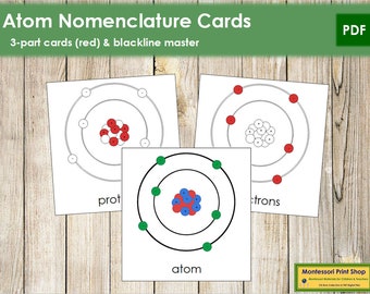 Parts of a Guitar Nomenclature 3-part Cards Printable | Etsy