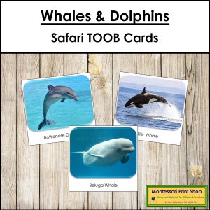 Carte TOOB Safari balene e delfini - Carte Montessori stampabili - Download digitale