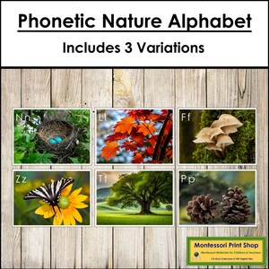 Alphabet nature phonétique - cartes Montessori imprimables en pré-lecture - téléchargement numérique