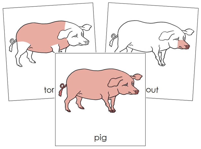 Parts Of A Pig Nomenclature 3 Part Cards Montessori Zoology Etsy France parts-of-a-pig-nomenclature-3-part-cards-montessori-zoology-etsy-france