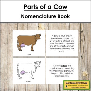 Parts of a Cow Nomenclature Book - Montessori Zoology - Printable Montessori Materials - Digital Download