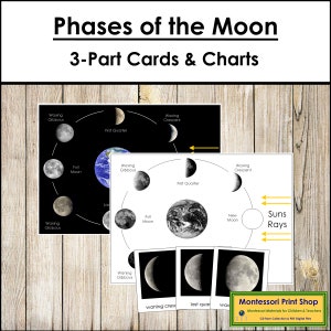 Phases Of The Moon Cards & Charts - Montessori Nomenclature - Science (Digital Download)