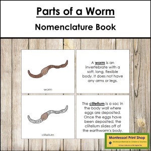 Parts of a Worm Nomenclature Book - Zoology - Printable Montessori Materials - Digital Download