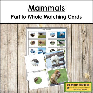 Tarjetas de correspondencia de partes y todo de mamíferos y tabla de control - Zoología - Tarjetas Montessori imprimibles - Descarga digital
