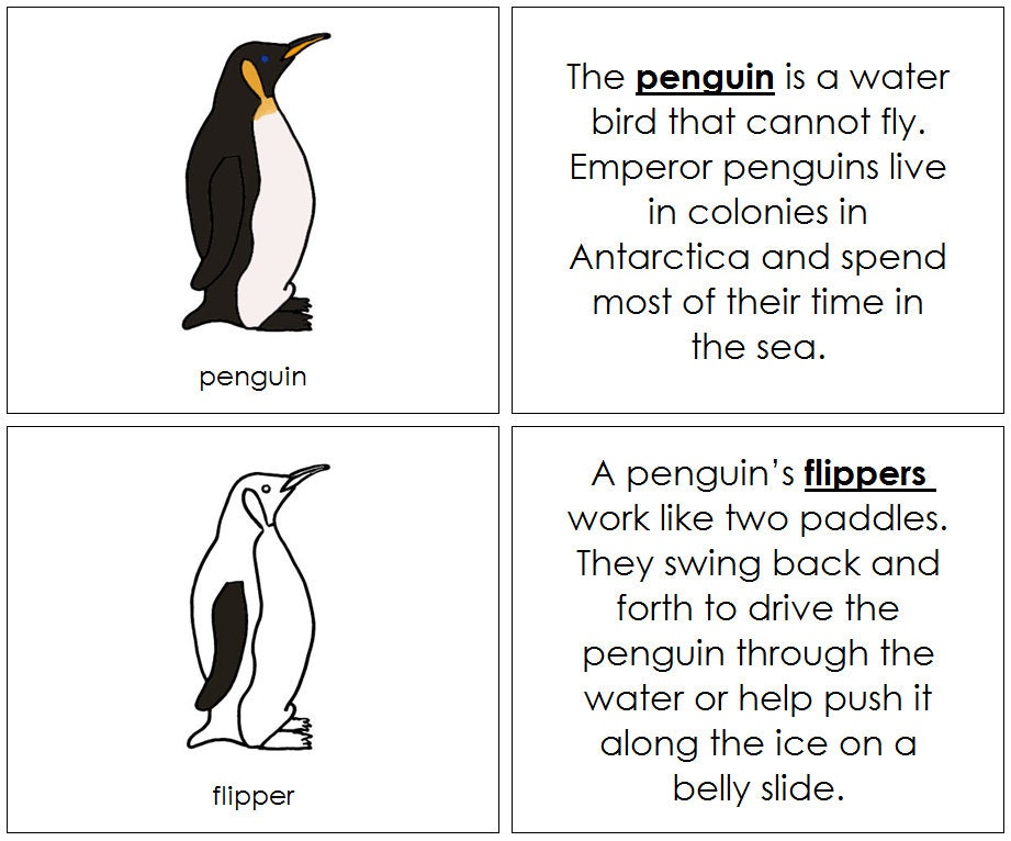 Penguin транскрипция