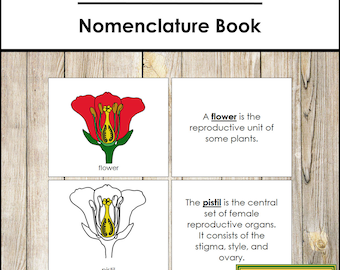 Parts of a Flower Nomenclature Book - Montessori Botany - Printable Montessori Materials - Digital Download