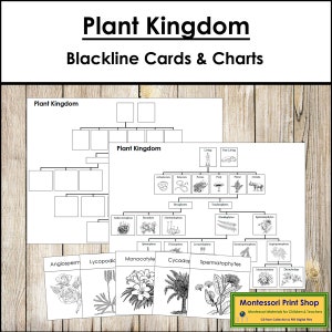Grafieken en kaarten plantenrijk (Blackline Masters) - Montessori Science - Afdrukbare Montessorikaarten - Digitale download