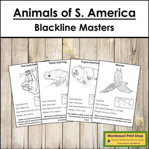 Informations sur les animaux d'Amérique du Sud et cartes (Blackline Master) - Zoologie Montessori - Cartes Montessori imprimables - Téléchargement numérique