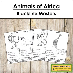 Fatti e cartoline illustrate sugli animali dell'Africa (Blackline Masters) - Zoologia Montessori - Carte Montessori stampabili - Download digitale