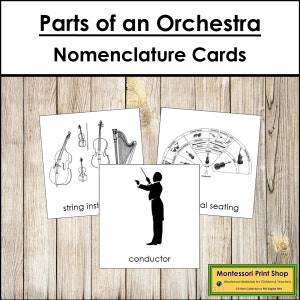 Orchestra Nomenclature 3-Part Cards - Music Nomenclature - Printable Montessori Cards - Digital Download
