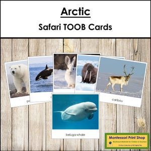 Karty TOOB Arctic Safari – karty Montessori 3-częściowe (do pobrania w wersji cyfrowej)