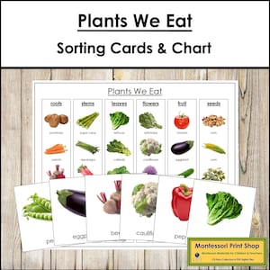 Montessori Plants We Eat Sorting Cards & Chart - Montessori Botany Activity (Digital Download)